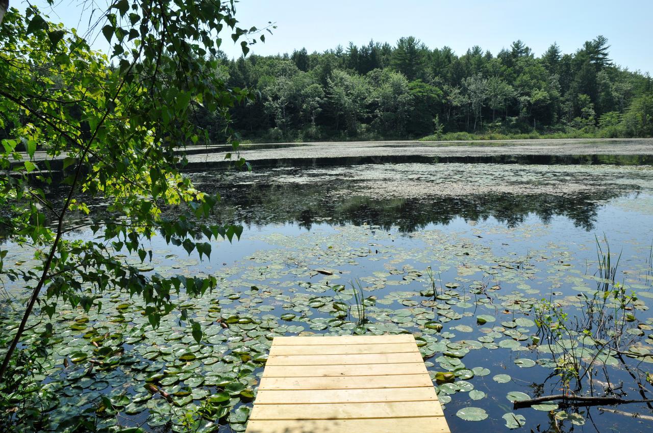 Tuxbury Pond Camping Resort Tiny House Murphy South Hampton Ngoại thất bức ảnh